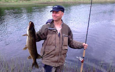 Lapland pike 2019