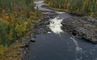 Korpån i Dorotea och Vispjön i Åsele